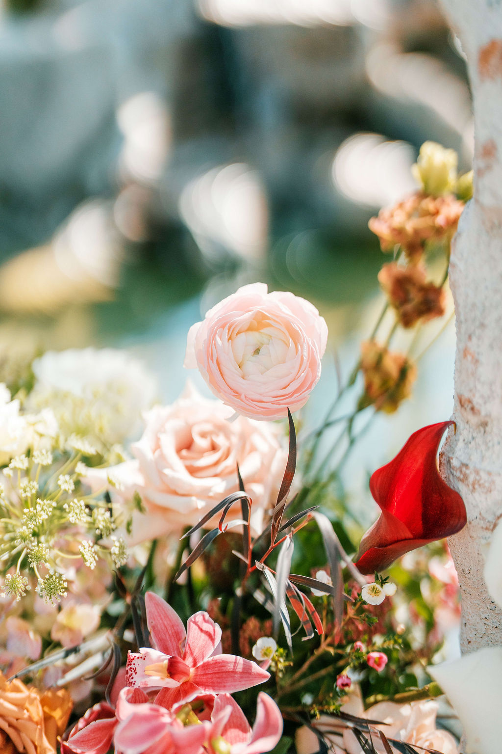 Details of pink flowers in an outdoor arrangement